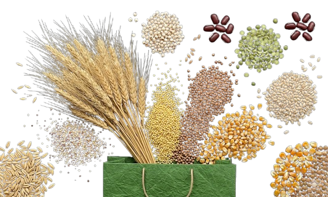 image-removebg-preview (4)